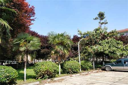 密州玉山小区套二带车库好楼层好位置干净卫生